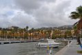 Bormes les mimosas 3